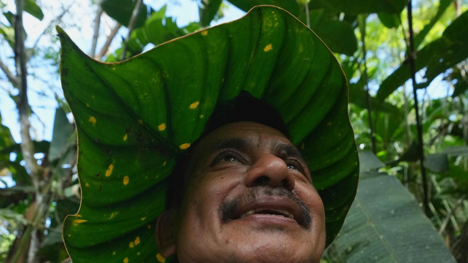 A family’s solitary fight to save endangered plants in the Amazon